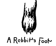 A Rabbit's Foot