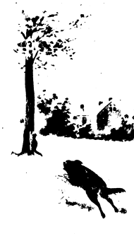 The tree, cat, and running dog