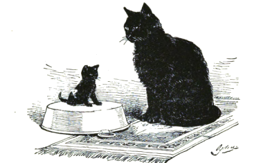 A cat and her kitten sitting on a mat and pan