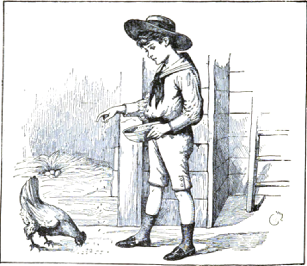 Frank feeding his hen in the barn