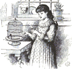 Lesson 55: May and Her Bird